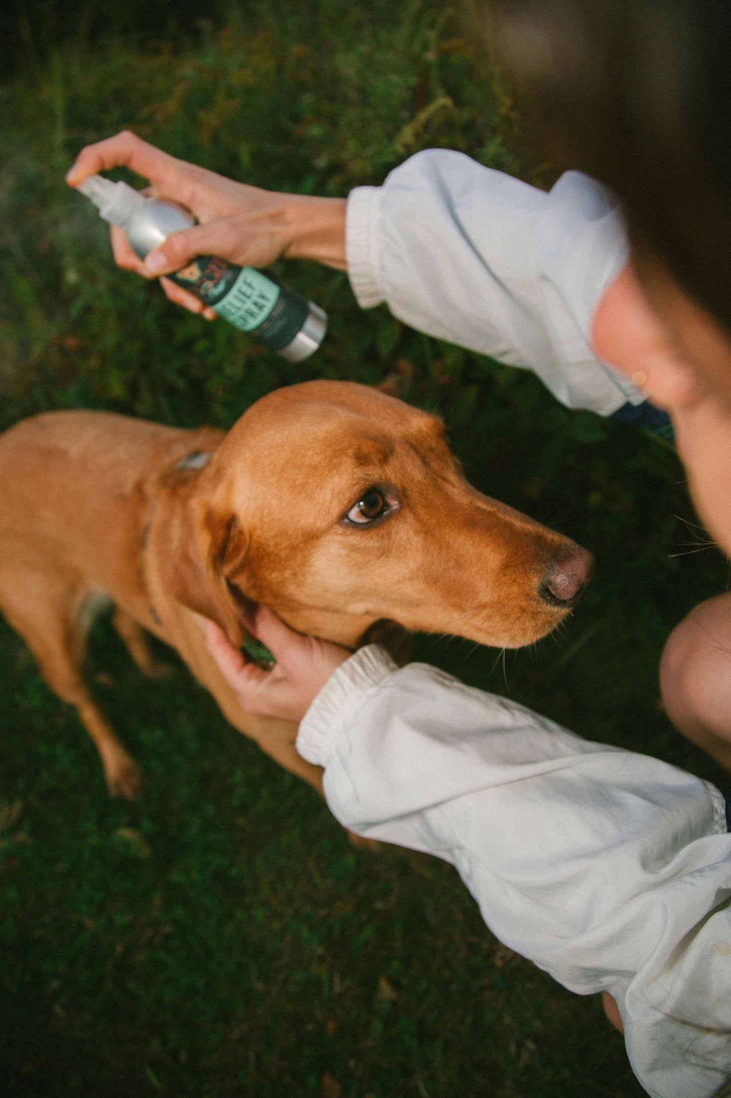 Refreshing All Natural Relief Spray | Rugged Paw